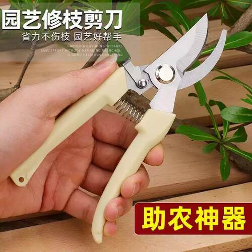 Specialized stainless steel gardening shears for pruning, su