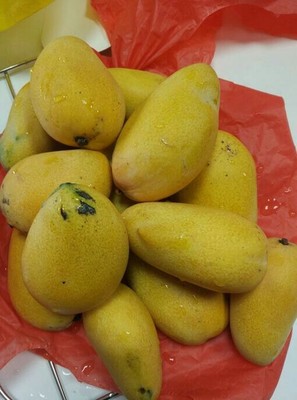 德莱茜洗菜机怎么样?用后三个月!质量真相大揭秘