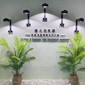 康之杰原生缸溪流缸专业爆藻灯金鱼缸晒苔兰寿暴藻草缸全光谱爆苔