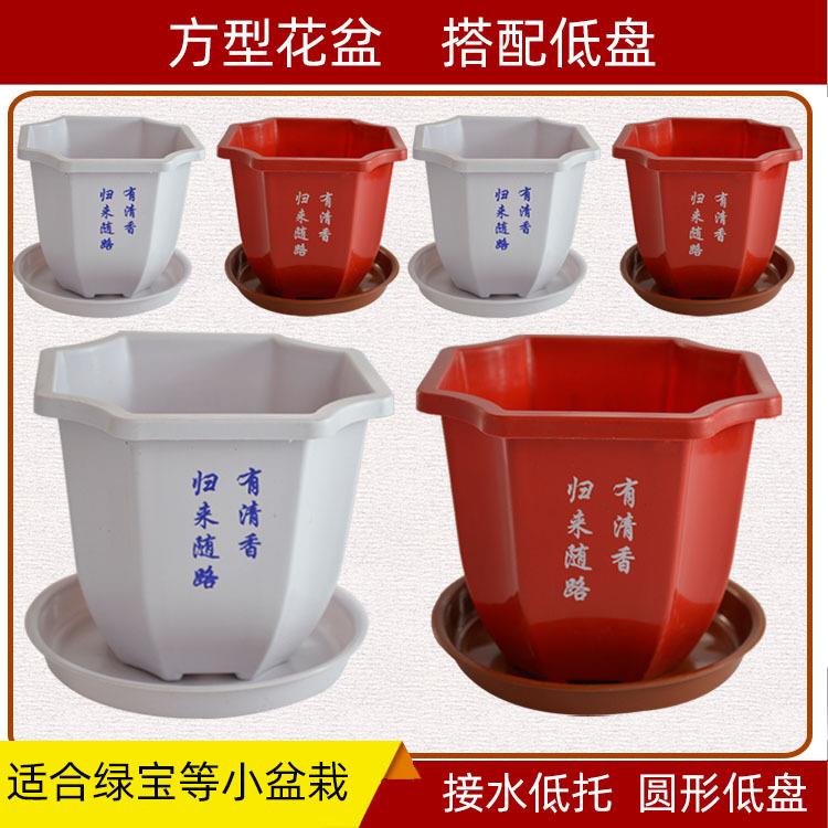 方型 塑料花盆红白印花榕树绿宝小盆栽花卉园艺基地花店整件