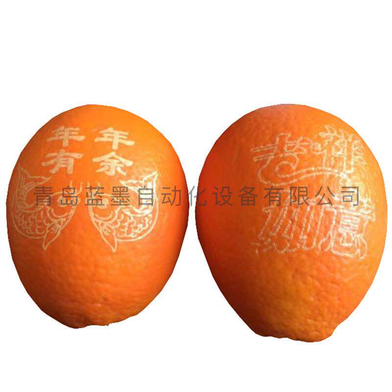 印刷设备苹果印字机打字机