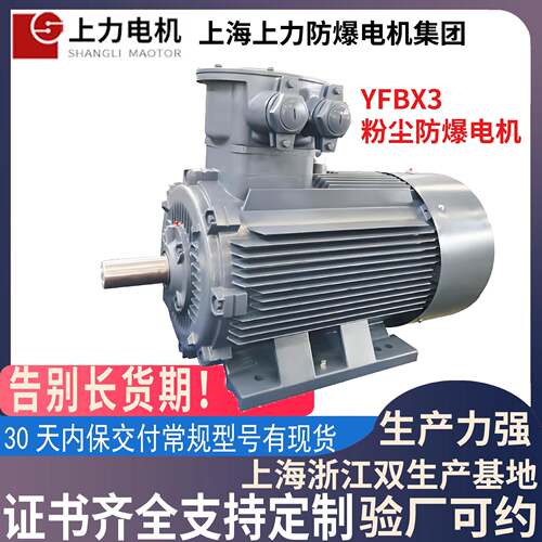 YFBX3-250M-255W粉尘防爆电机源头工厂沪浙生产支持验厂