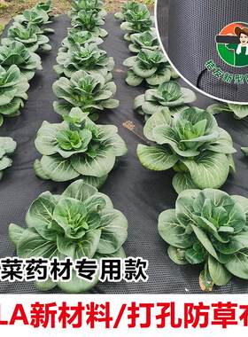 家用种菜打孔防草布除草布玉米蔬菜西瓜香瓜透气保湿盖草黑地膜布
