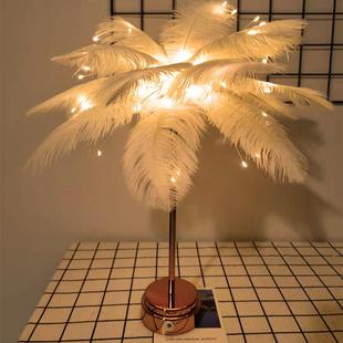 现货LED灯电池盒USB款两用卧室羽毛小夜灯创意房间装饰灯灯串彩灯