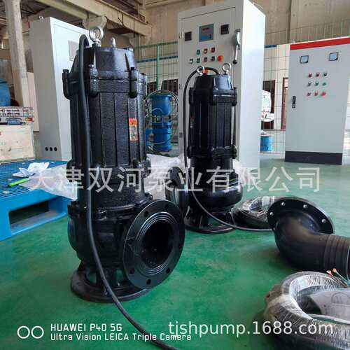 搅匀污水泵WQJY污水泵 搅匀污水泵价格 搅匀式排污泵