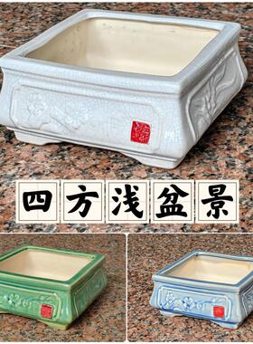 四方六方冰裂浅盆景浮雕印花底部有孔透气提根三角梅黄杨