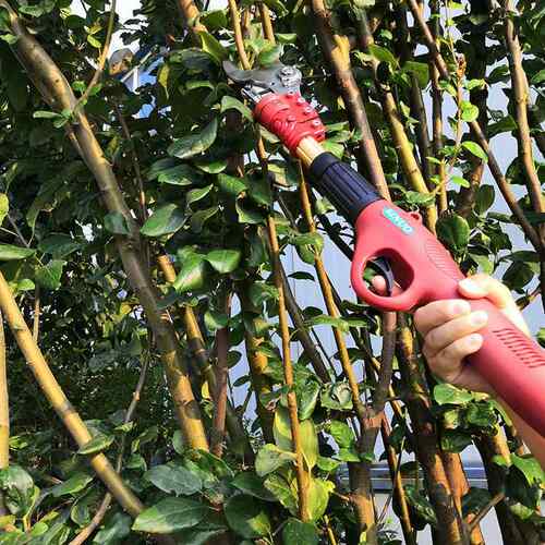 手持式果树电动剪锂电池两电一充剪枝机无线好携带修枝剪树机