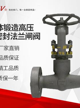 高压整体锻造法兰闸阀锻钢高压自密封法兰闸阀2500LB厂家供应