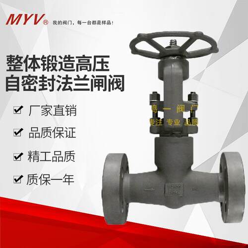 高压整体锻造法兰闸阀锻钢高压自密封法兰闸阀2500LB厂家供应