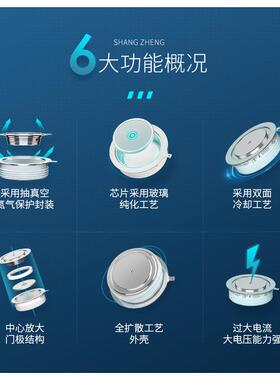 上海上整板式K控硅200A300A800A500A160SOGR0V双平可向晶闸管大功
