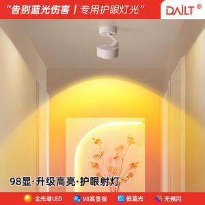 网红日不落入户玄关灯洗墙灯明装射灯创意夕阳红走廊过道氛围灯