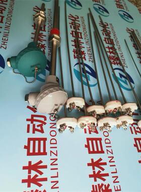 铠装热电偶 K型 S型 J型 E型 R型 T型 双支铠装热电偶 材质2520