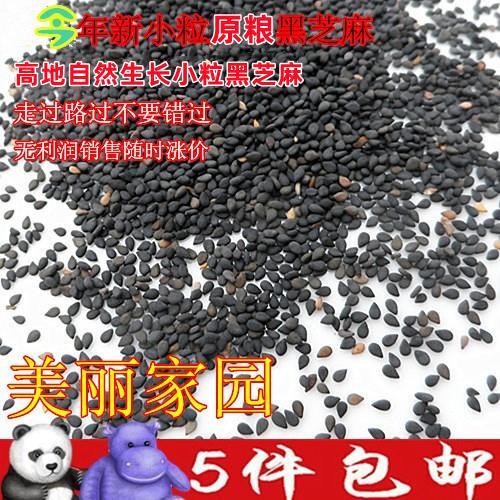 新小粒黑芝麻 高山自然生长小黑芝麻 野黑白芝麻仁 包邮五谷杂粮