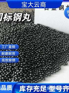 铸钢丸 合金钢丸 厂家直销 保证质量 S280 S390 铸钢丸 合金钢丸