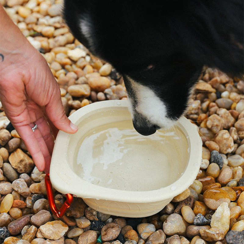 ZeeDog折叠餐碗便携式随行餐碗宠物用品狗狗户外游玩喝水食盆