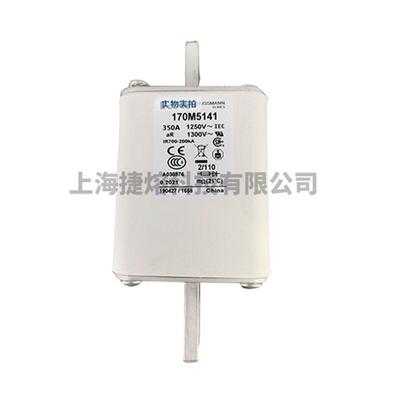 170M5141 170M5142 快速熔断器  保险丝 电子元器件 量大价优