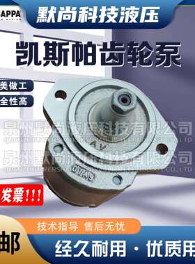 凯斯帕CASAPPA齿轮泵PLP10.5/5.8/6.3/8/10L0-81E1-LBB液压油泵