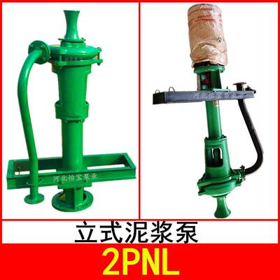销售2PNL立式泥浆泵打桩机清淤泵11KW