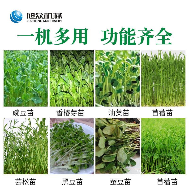 旭众全自动芽苗机商用豆芽花生芽自动恒温淋水培育花生芽机器厂家