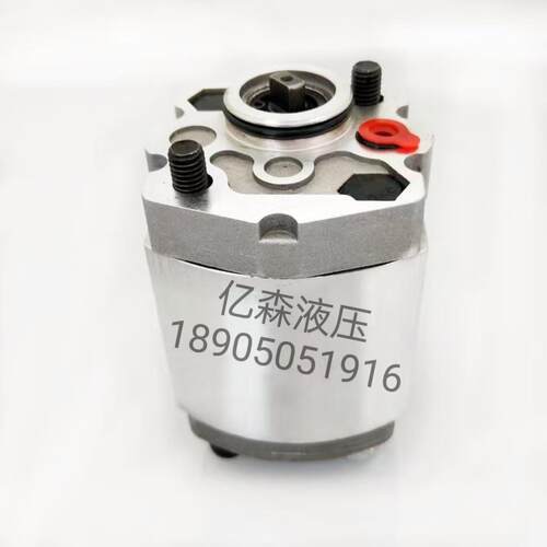 Boden博顿齿轮泵BKP1Q0S0.8/1.1/1.3/1.6/1.8/2.1/2.7/3.2G0L1-B