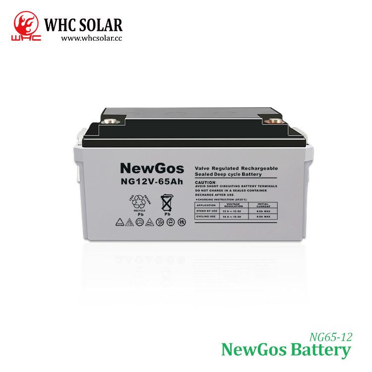 NewGos12v65ah太阳能深循环铅酸蓄电池