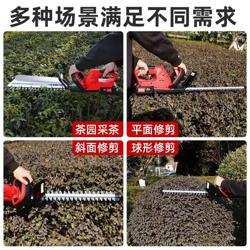 电动绿篱修剪机充电式修花剪刀修枝剪绿化专用园林工具采茶叶机器