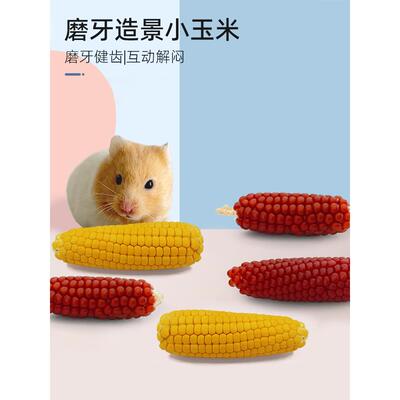 高档高营养仓鼠粮食磨牙迷你小玉米棒零食龙猫谷物金丝熊花枝鼠豚