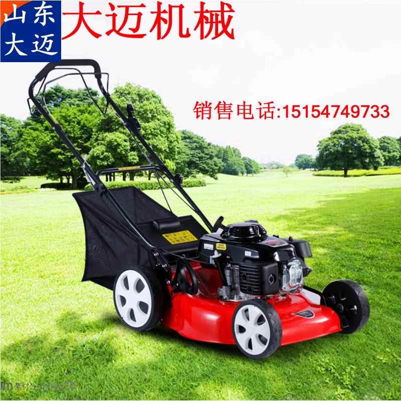 自性走手AZA推剪机草机 推式割草机 汽油割草多种款式能手稳定