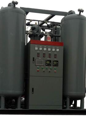 厂家制定氮气纯化高纯制氮机氮气瓶充装气体纯化干燥除水除氧