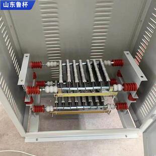 10S中性点接地电阻器适用城市配电网 大型工矿企业 100A 6.3KV