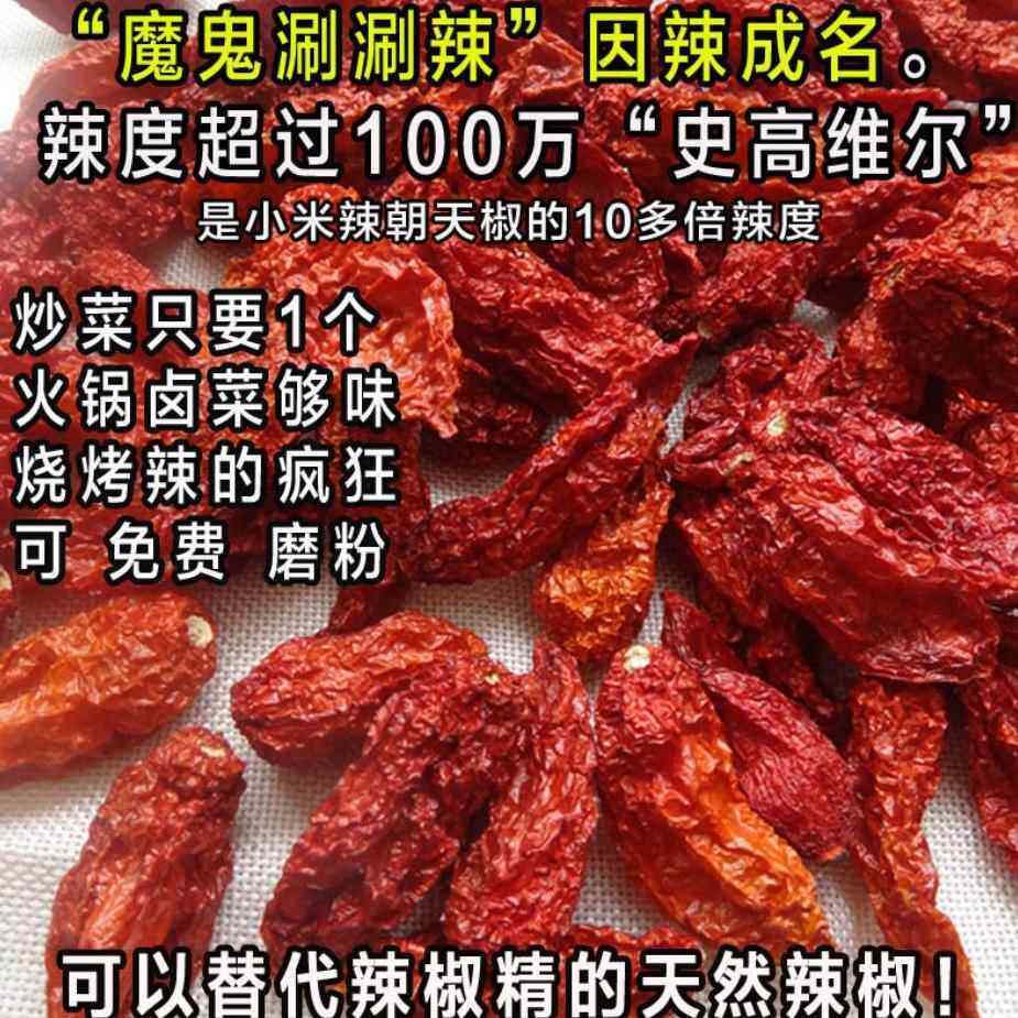 云南涮涮辣变态辣卡罗莱纳死神辣椒印度魔鬼椒干 干辣椒特辣魔鬼