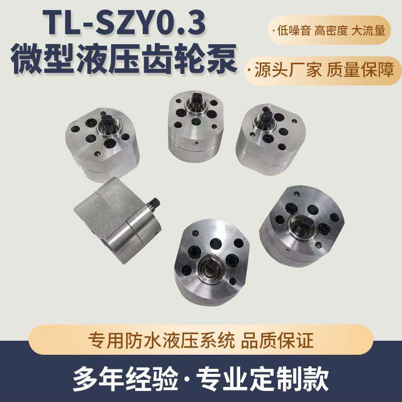 TL-SZY0.3微型液压齿轮泵微型高压齿轮泵微型双向高压齿轮泵