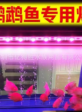 魔红色红鱼灯 防水led鱼缸灯照明红龙罗汉増红增色鹦鹉鱼专用灯管