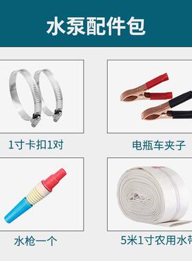 家LFS用潜泵2v24v微型水泵电动缸车水泵鱼循环排1水泵塑水料抽水