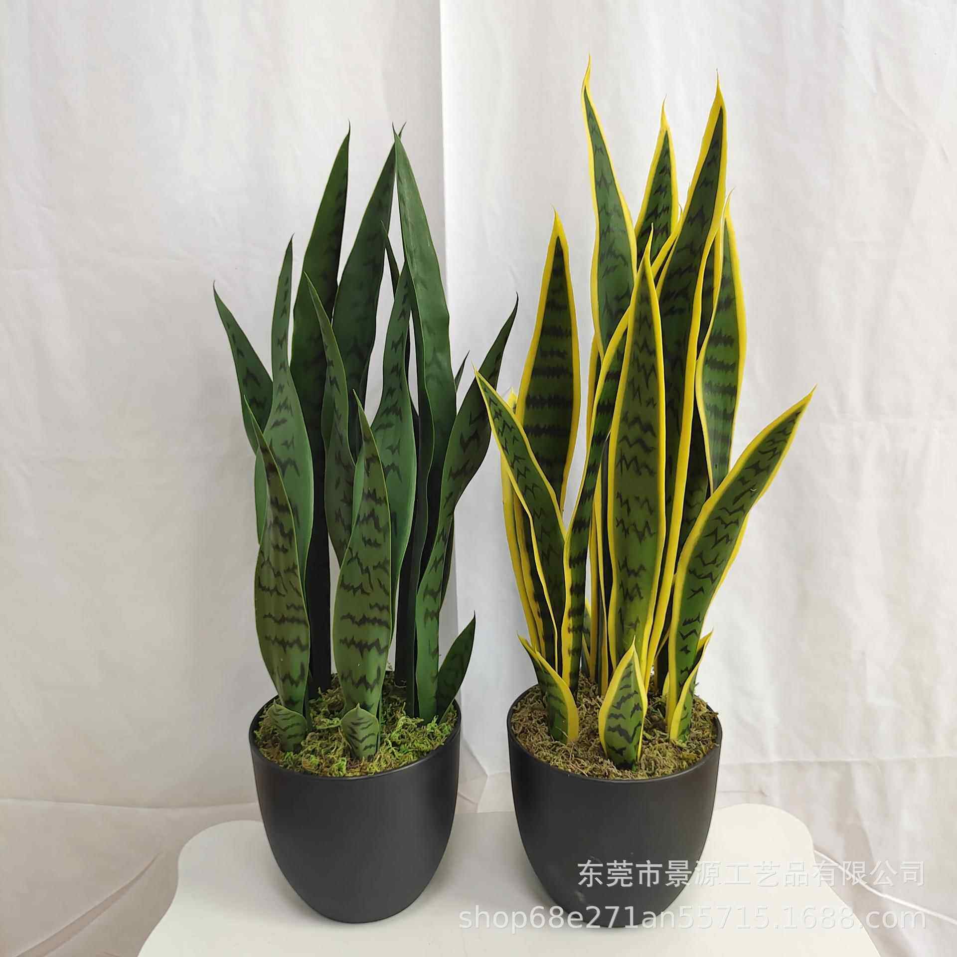 虎纹兰盆栽芦荟盆景家居办公室摆件橱窗造景绿植假花仿真绿植摆件