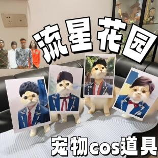 流星花园宠物装饰画创意cos画小猫小狗角色扮演头套画拍照小道具