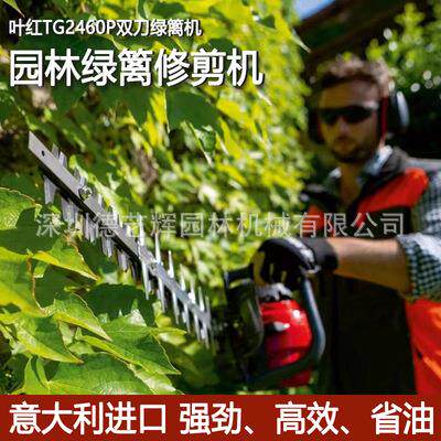 叶红TG2460P双刃绿篱机 汽油大功率修剪机 园林专用修枝机篱笆剪