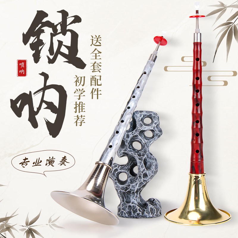 唢呐乐器初学者d调唢呐专业演奏唢呐乐器全套民间红白喜事道具