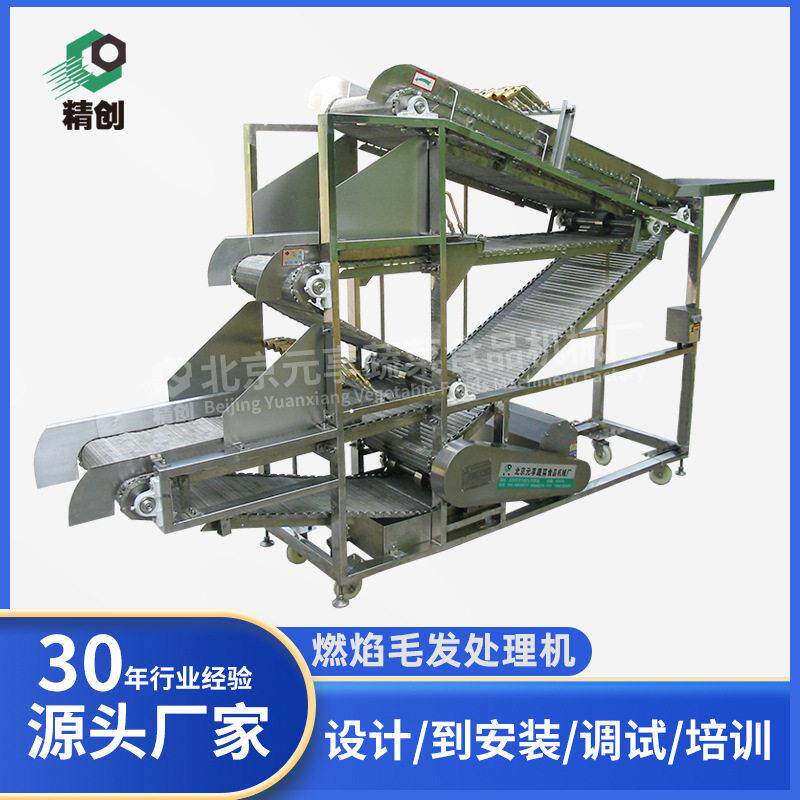 源头厂家燃焰毛发处理机烧毛机商用北京食品加工设备机械定制设备