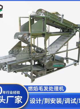 源头厂家燃焰毛发处理机烧毛机商用北京食品加工设备机械定制设备