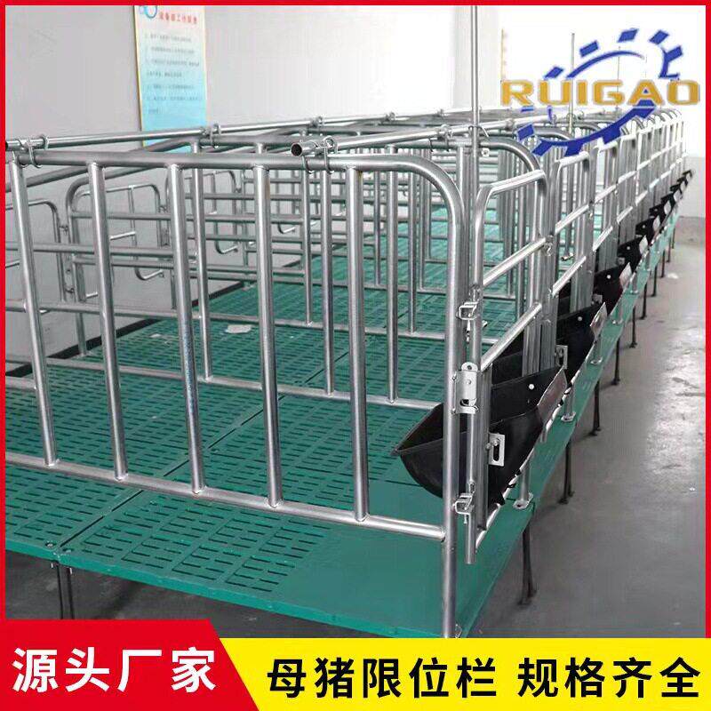 猪用限位栏母猪定位栏养殖设备加厚落地养殖场栏位山东生产厂家