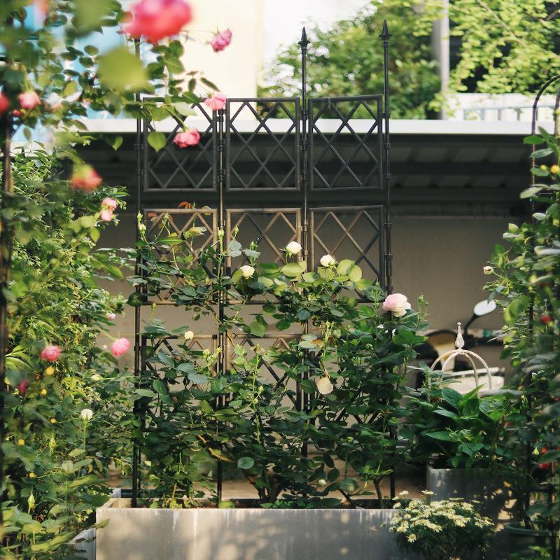 花园支架月季爬藤花架篱笆栏插地式庭院围栏栅栏户外植物屏风格栅图片