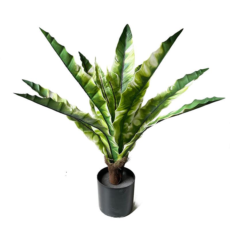 仿真蕨叶鸟巢蕨植物盆栽锯齿蕨绿植家居室外落地盆景装饰孔雀竹
