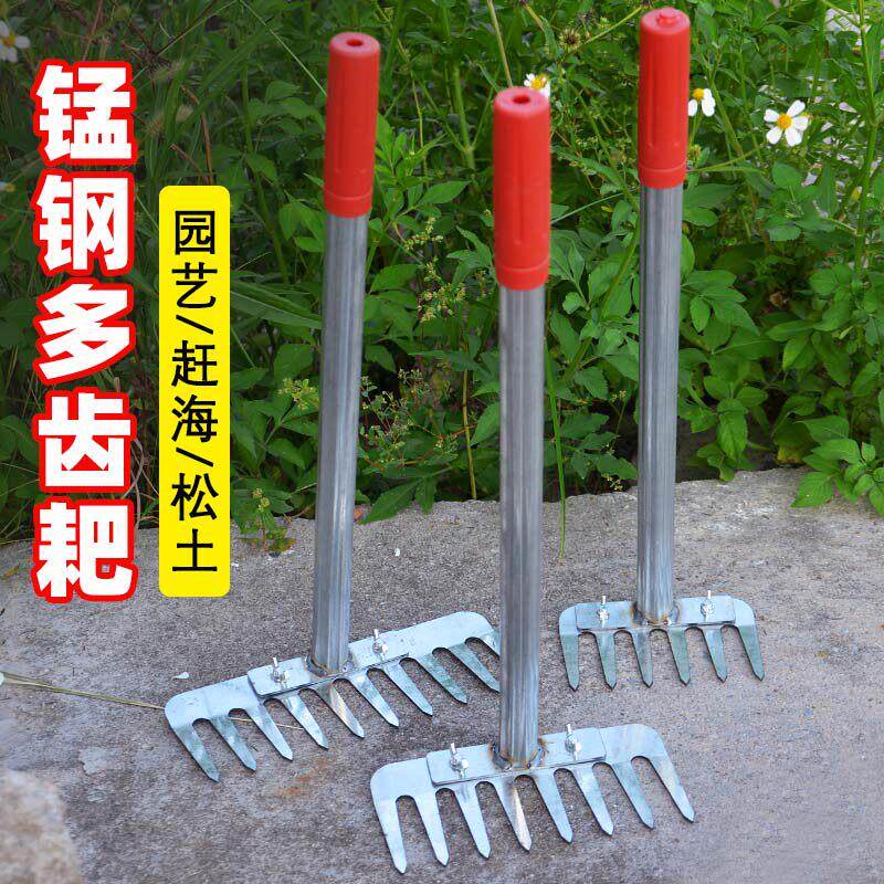 赶海耙子挖蛤蜊挖螺挖沙松土扒子铁耙钢耙锄地家用除草锄耙十齿钉