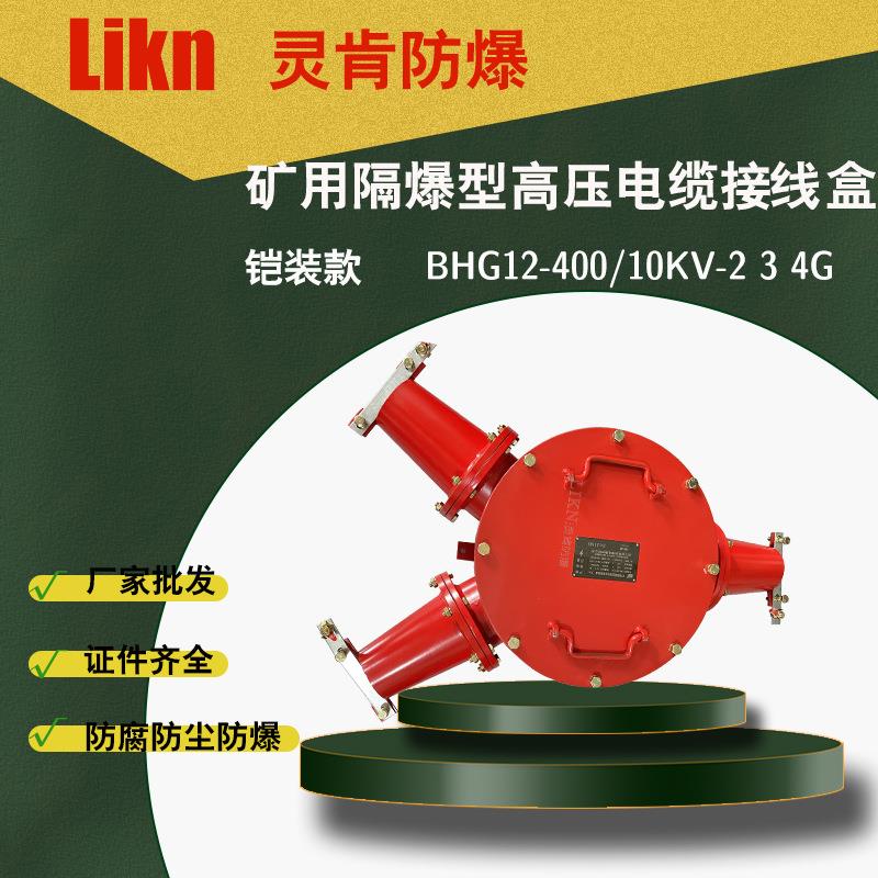 铠装款矿用隔爆型高压电缆接线盒BHG1-400/10KV-2G3G防爆分线盒