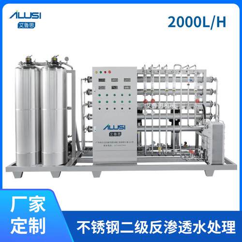 厂家直供2000LH不锈钢二级反渗透水处理全自动增压泵制药用水设备