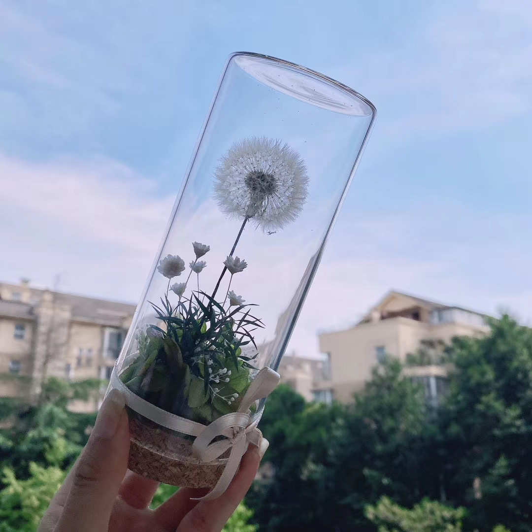 瓶保鲜送闺许愿花蒲公英教师节干花蜜礼物束玻璃罩花永生漂流瓶