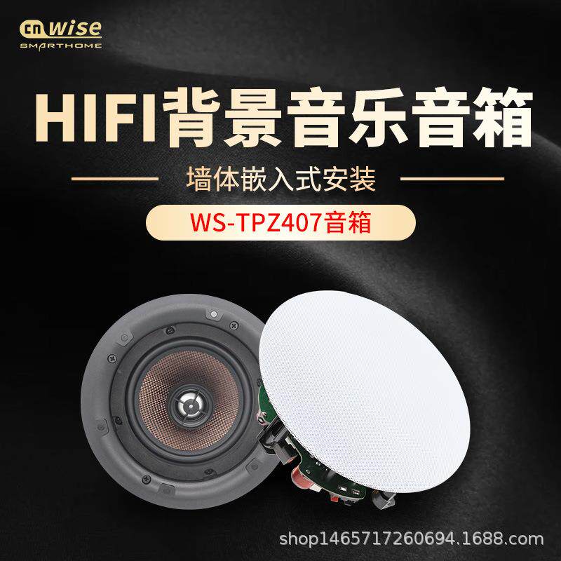 华尔思407音箱家庭背景音乐系统吸顶音响嵌入式5寸喇叭壁挂式有线