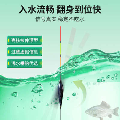 三老头浅水LED夜光漂短漂醒目高灵敏浮漂鲫鱼鲤鱼草洞冰钓鱼漂