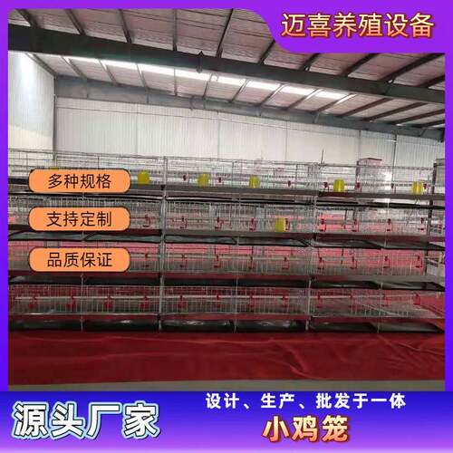 小鸡笼养殖场鸡舍育雏笼立式专业养鸡设备